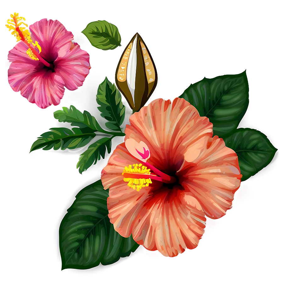 Hibiscus Background Png 92