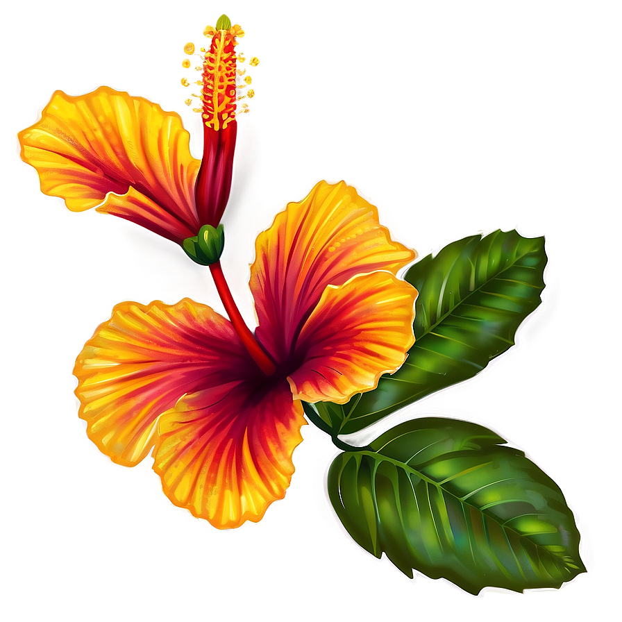 Hibiscus Branch Png 05232024