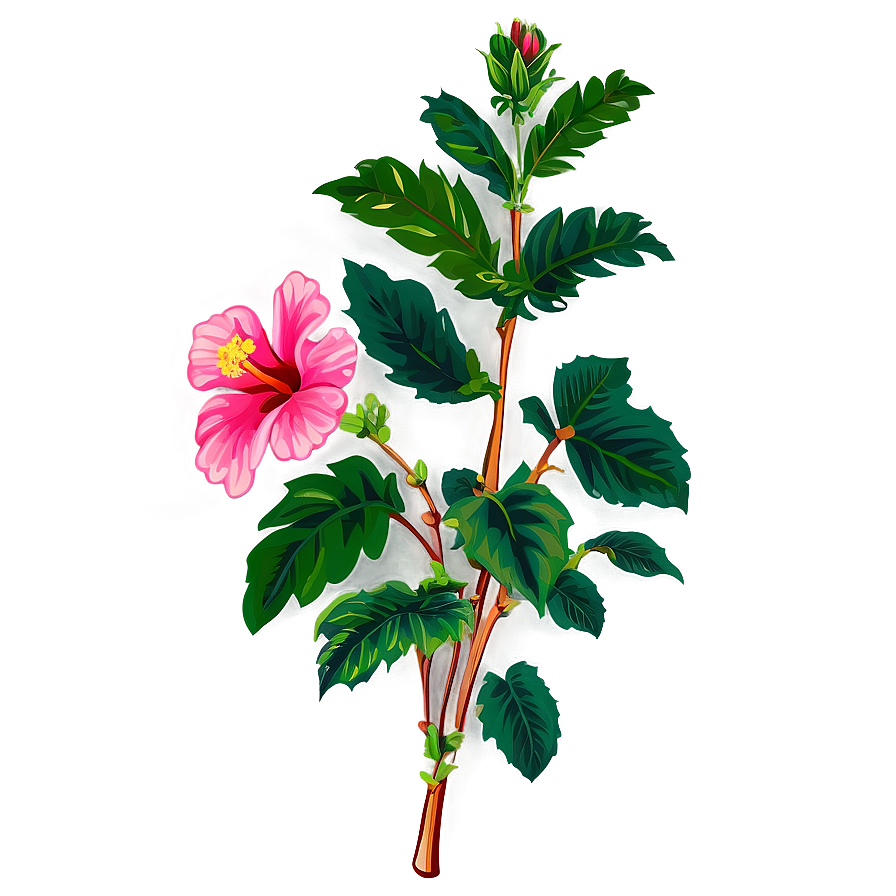 Hibiscus Clipart Png 6