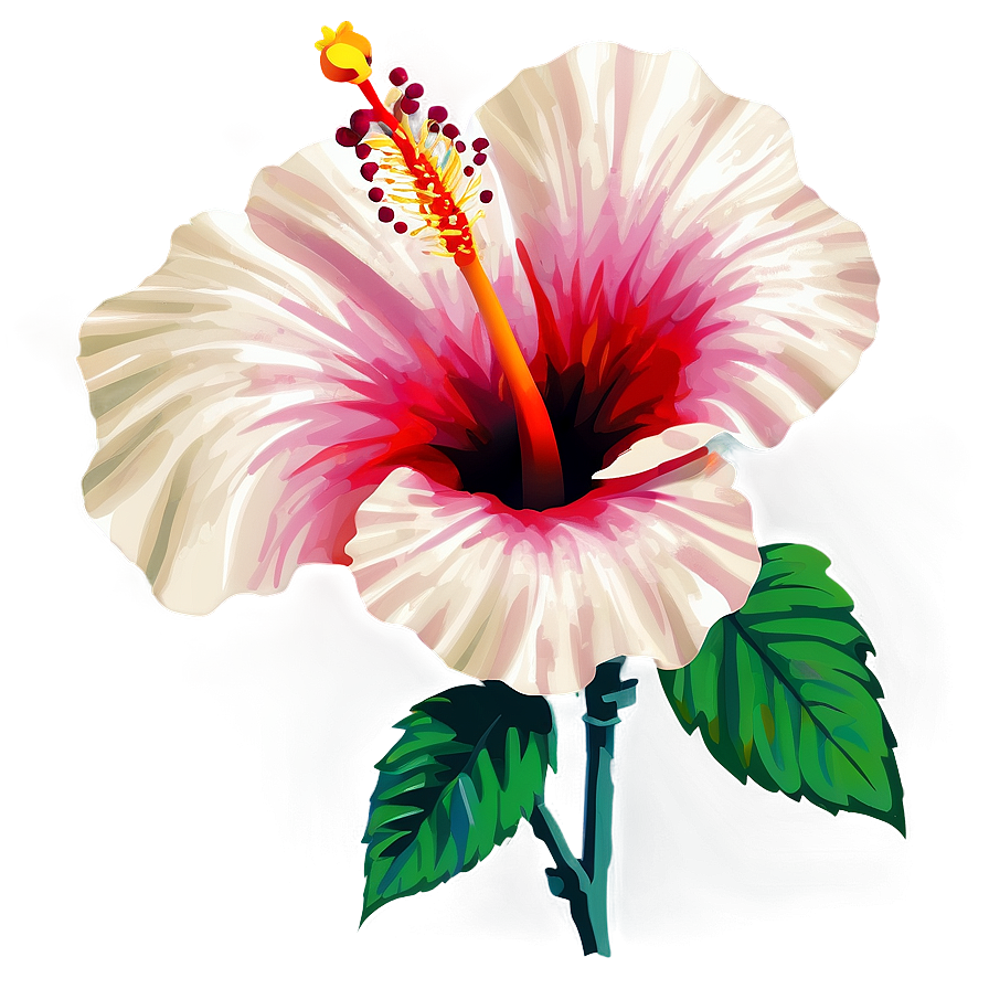 Hibiscus Clipart Png Pdc5