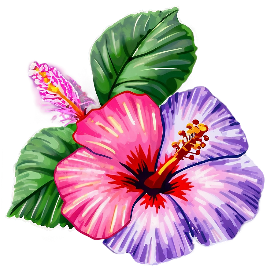 Hibiscus Design Png 32