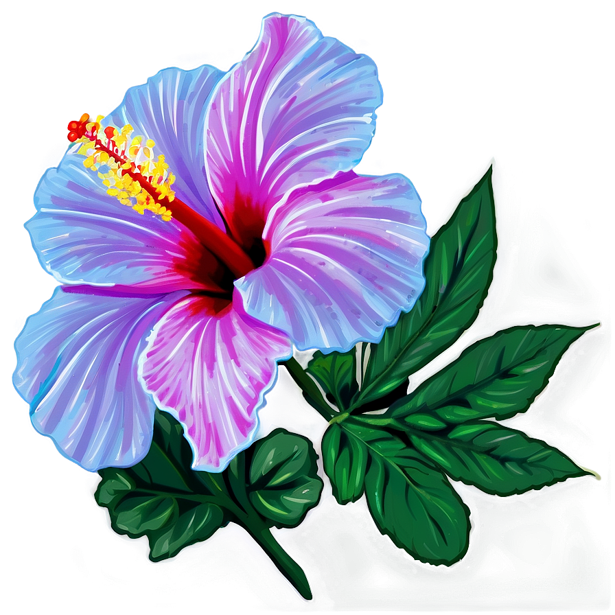 Hibiscus Elegance Png 05232024