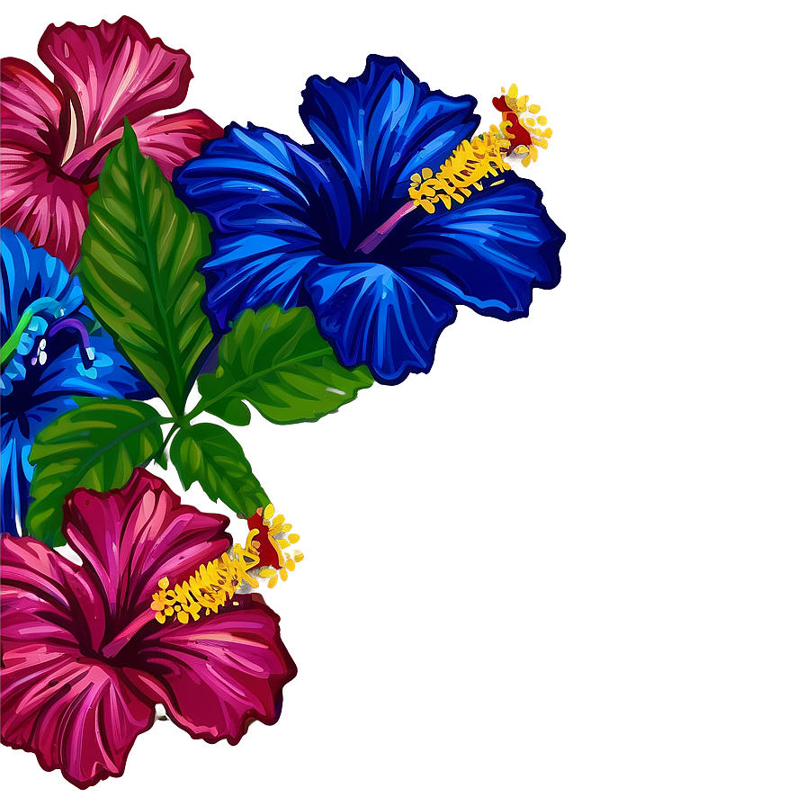 Hibiscus Flower Border Png 05252024