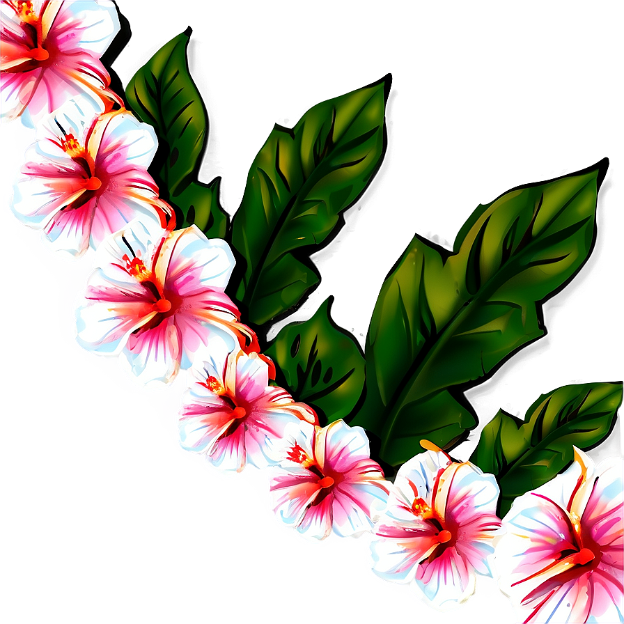 Hibiscus Flower Border Png 33