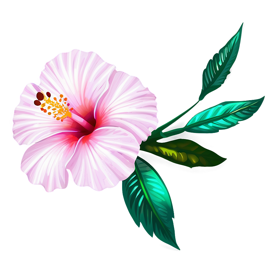 Hibiscus Flower Outline Png Bjl68