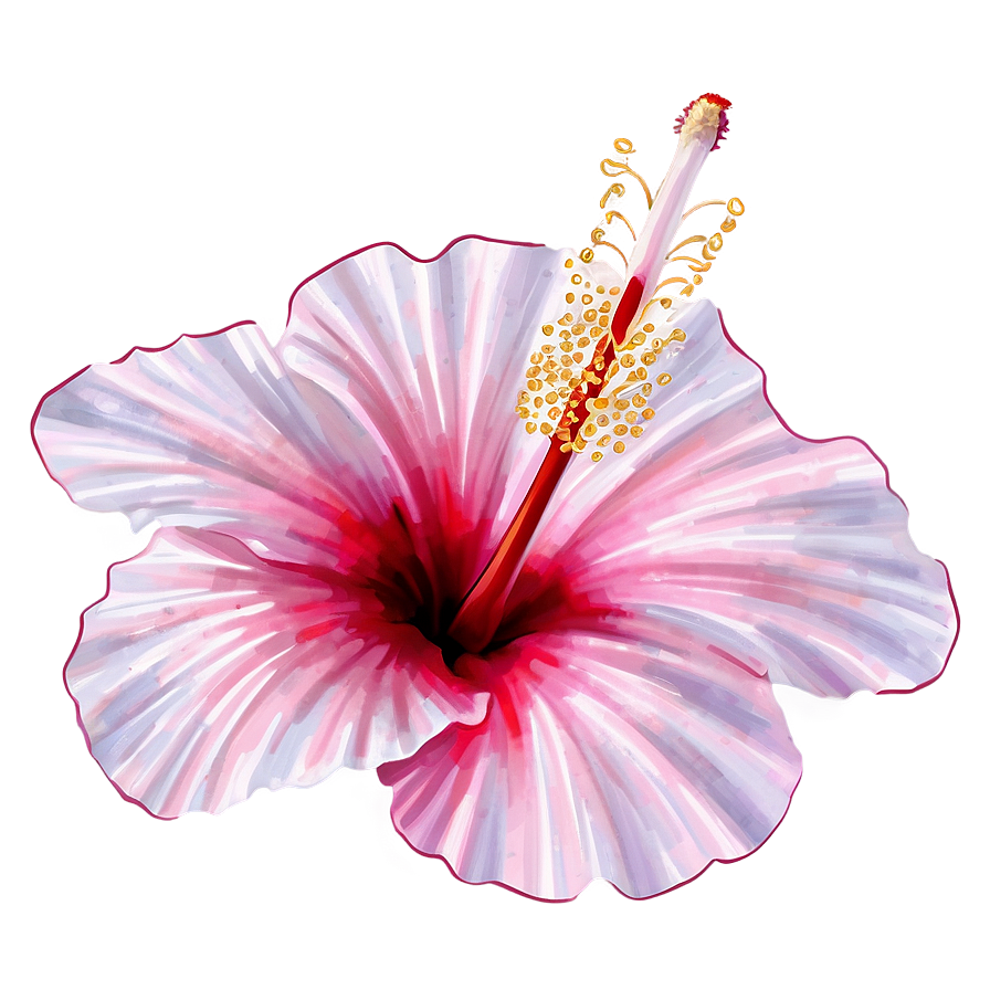 Hibiscus Illustration Png 77