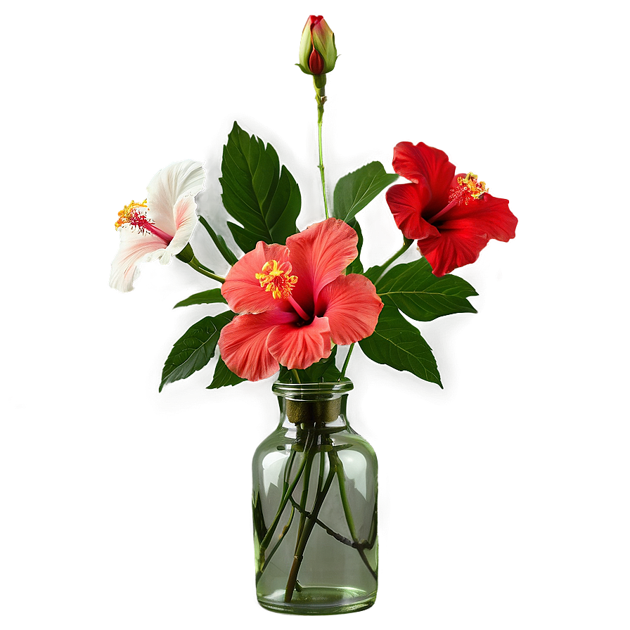 Hibiscus In Vase Png Dge