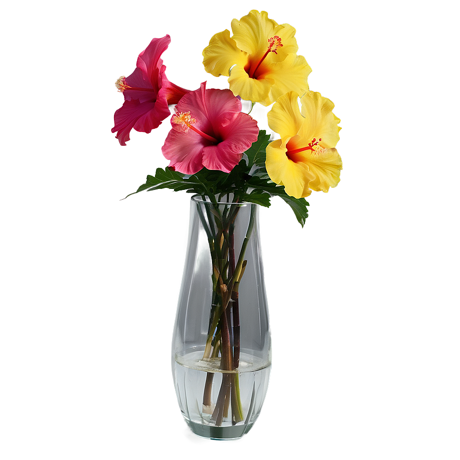 Hibiscus In Vase Png Saq89