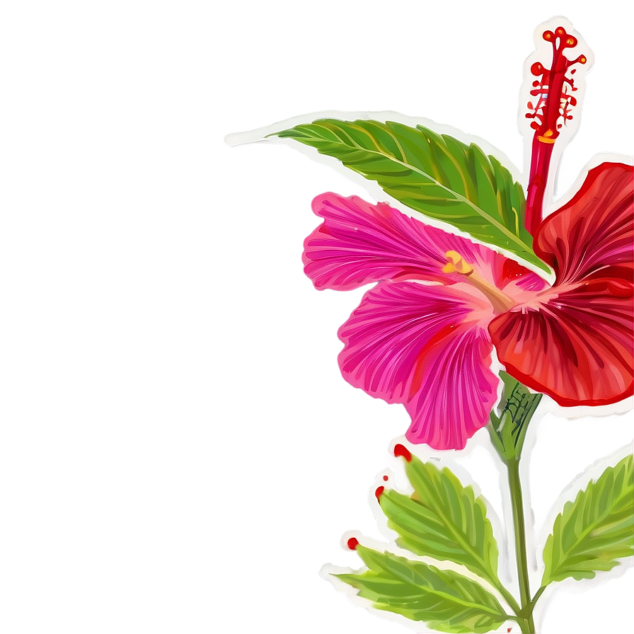 Hibiscus Infusion Png Rha65