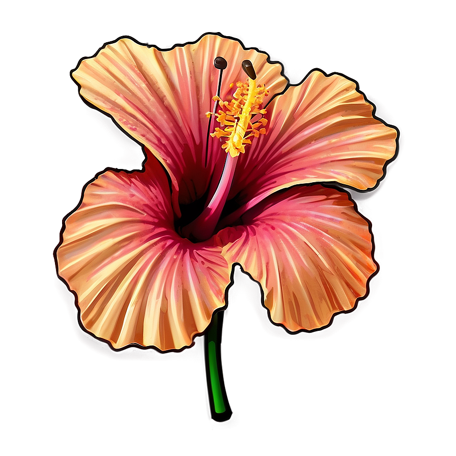 Hibiscus Outline Png 94