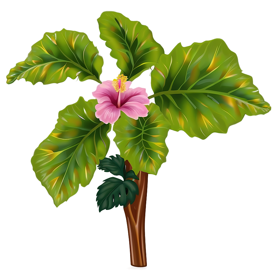 Hibiscus Plant Png 67