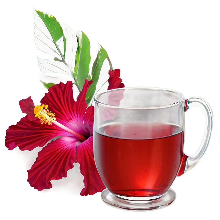 Hibiscus Tea Png 21