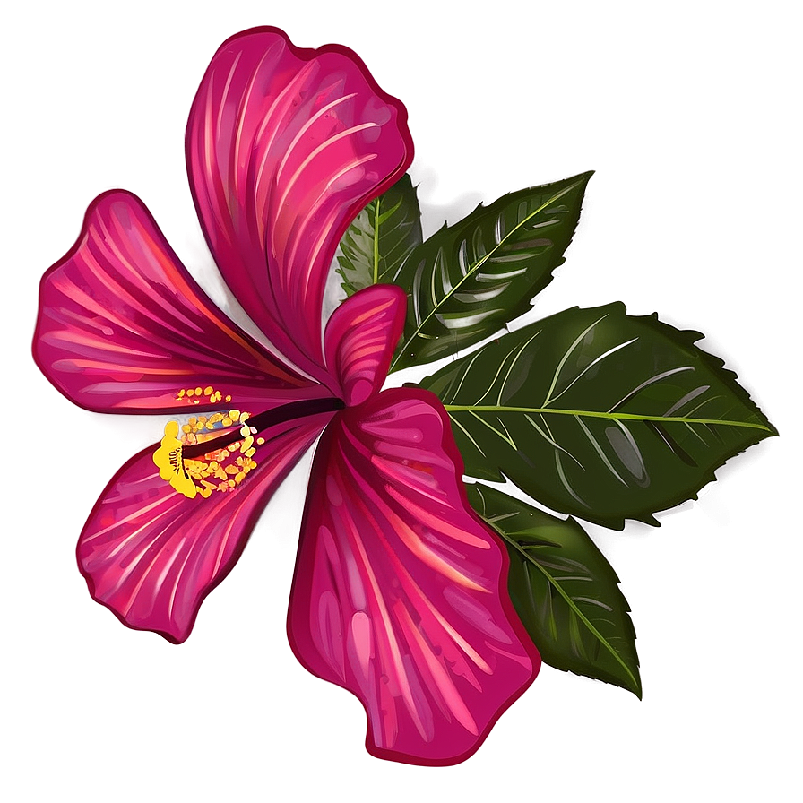 Hibiscus Vector Png 4