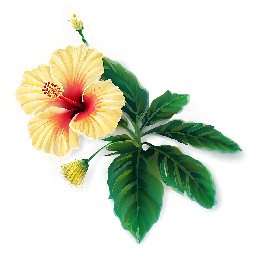 Hibiscus Vector Png Ffn53