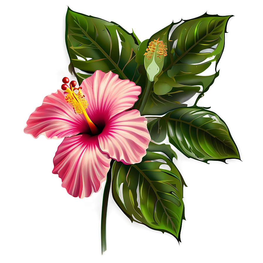 Hibiscus Vector Png Fre10