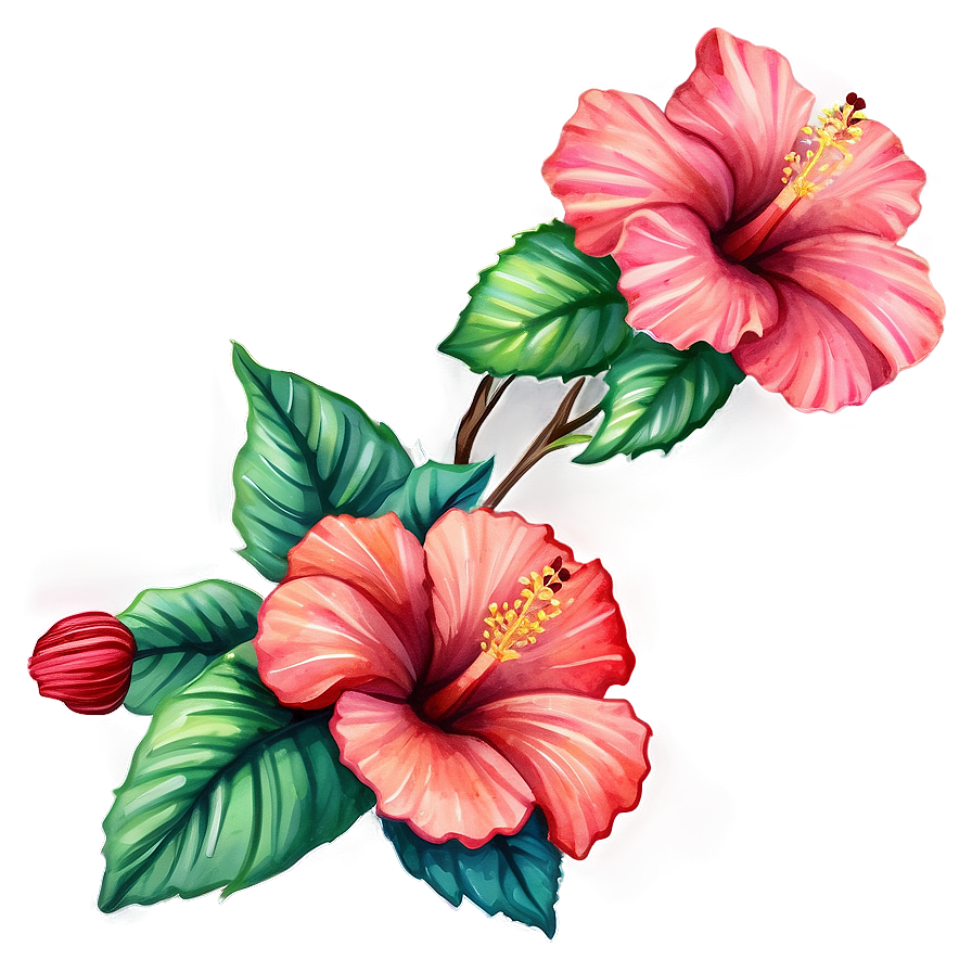 Hibiscus Watercolor Png Gnj38