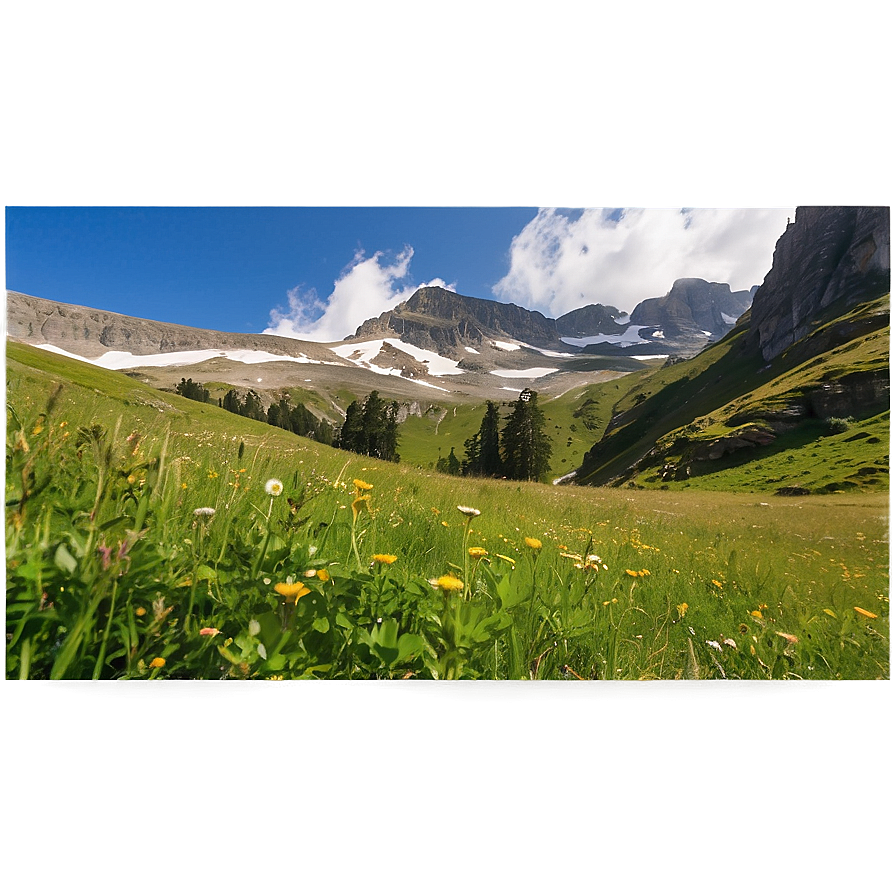 High Alpine Meadow Landscape Png 19