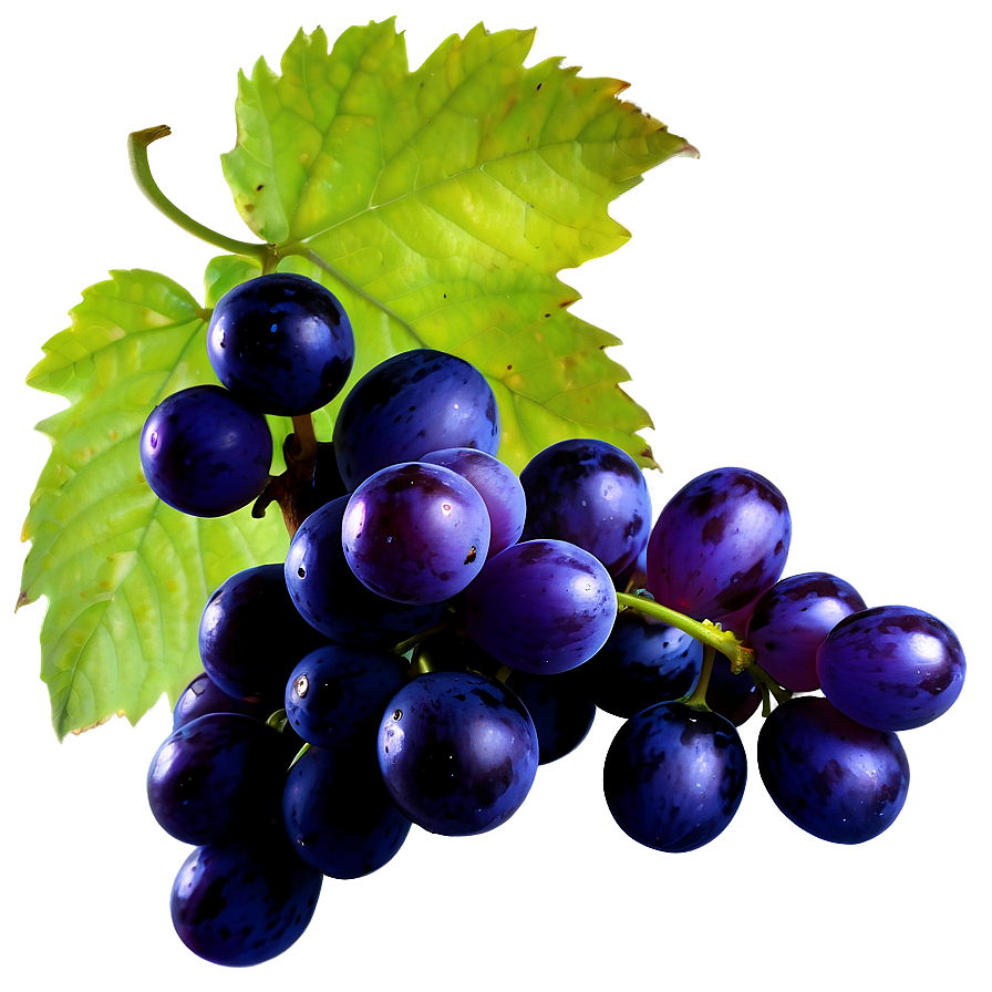 High Definition Grape Png Ckf72