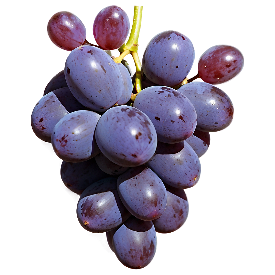 High-quality Grape Png Arg95