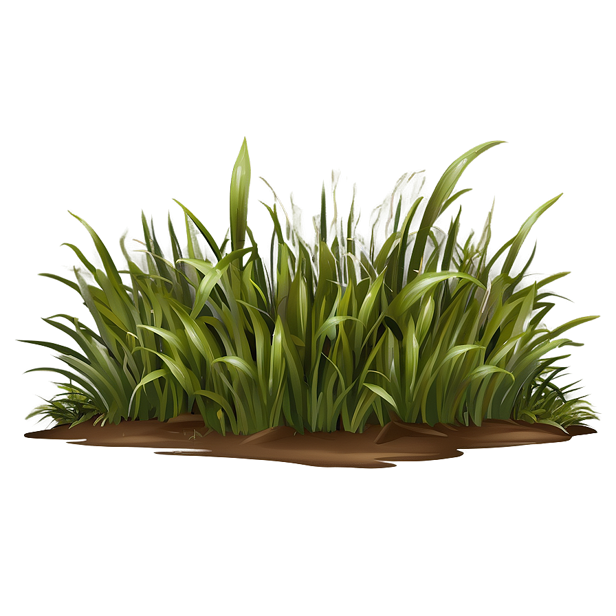 High Quality Grass Clipart Png Fvk