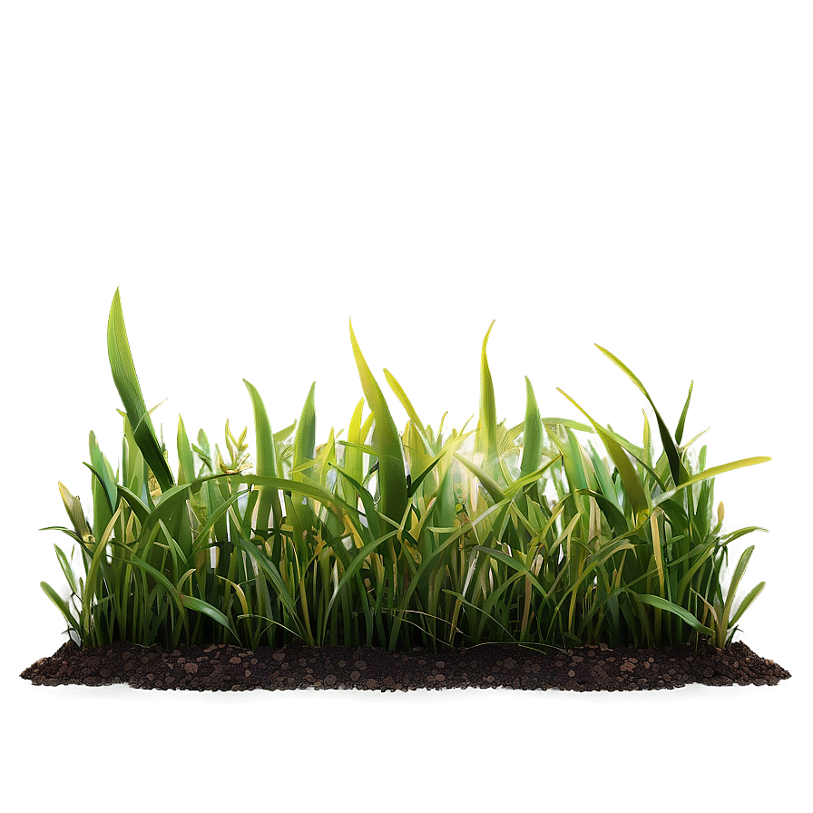 High-quality Grass Patch Png 06212024