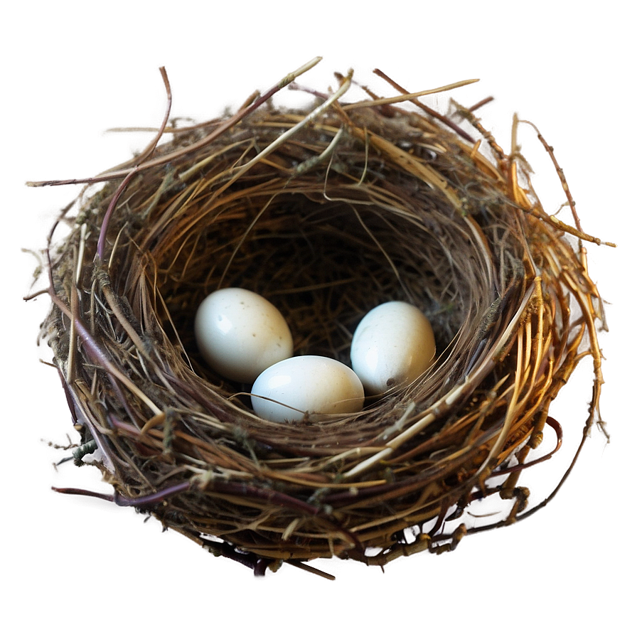 High-quality Nest Image Png Wjx62