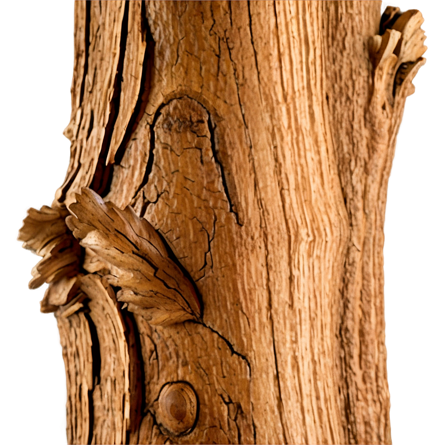 High-quality Oak Wood Png Jmp