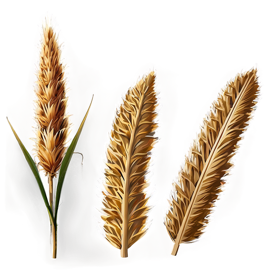 High Resolution Dry Grass Png 77