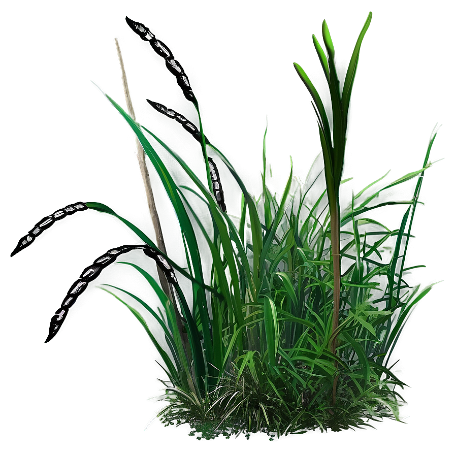 High Wild Grass Png Ldu