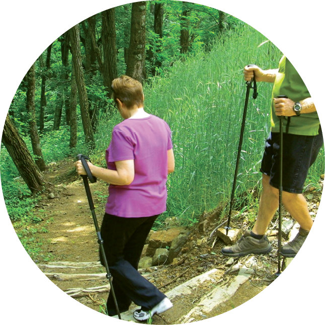 Hikers_on_ Forest_ Trail