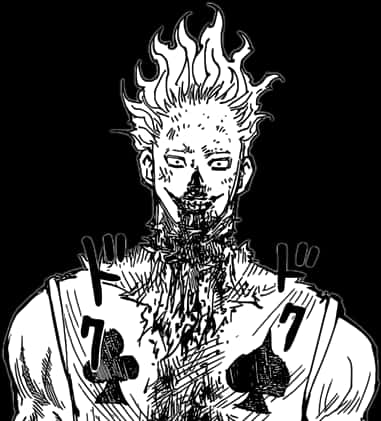 Hisoka Manga Portrait