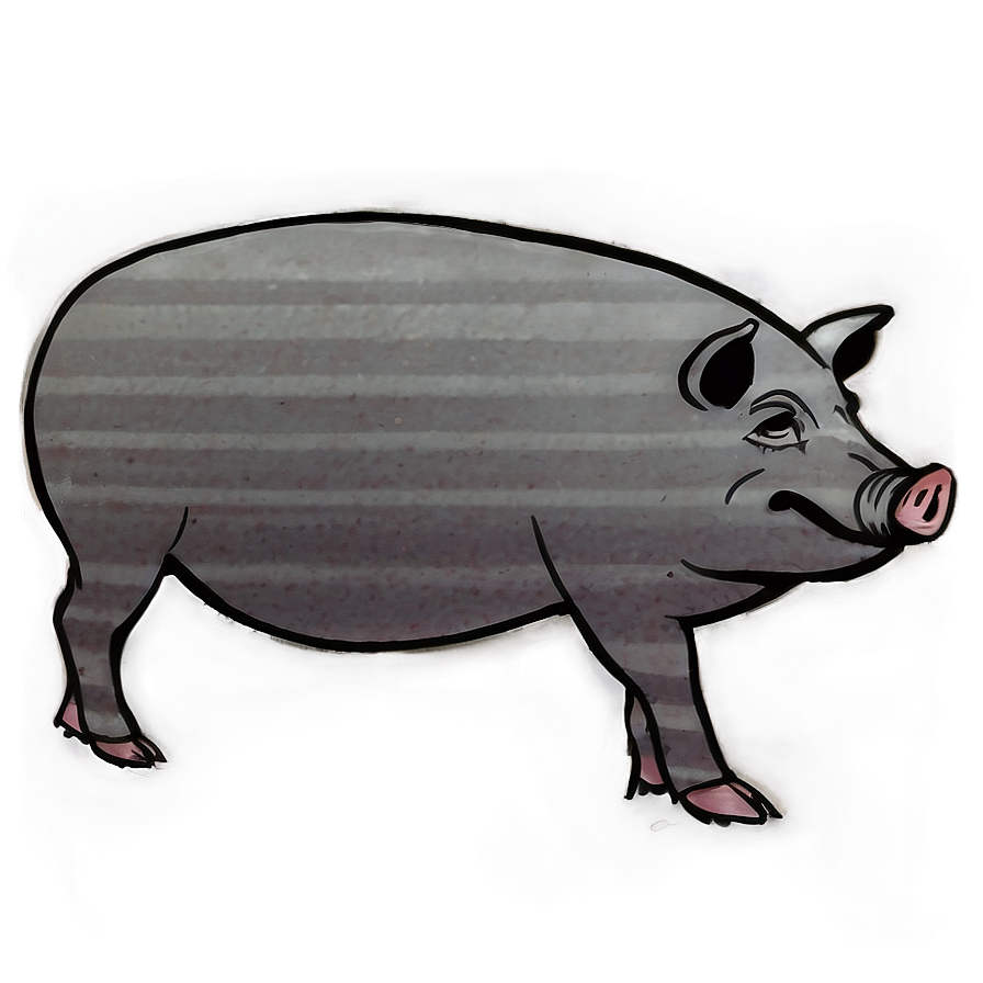 Hog Sketch Png Jyl34