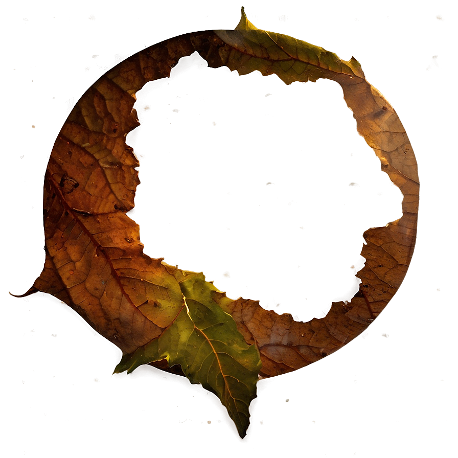 Hole In Leaf Png Uov4