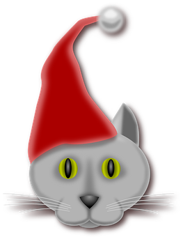 Holiday Catin Santa Hat