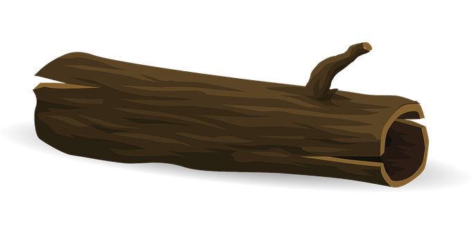 Hollow_ Log_ Illustration