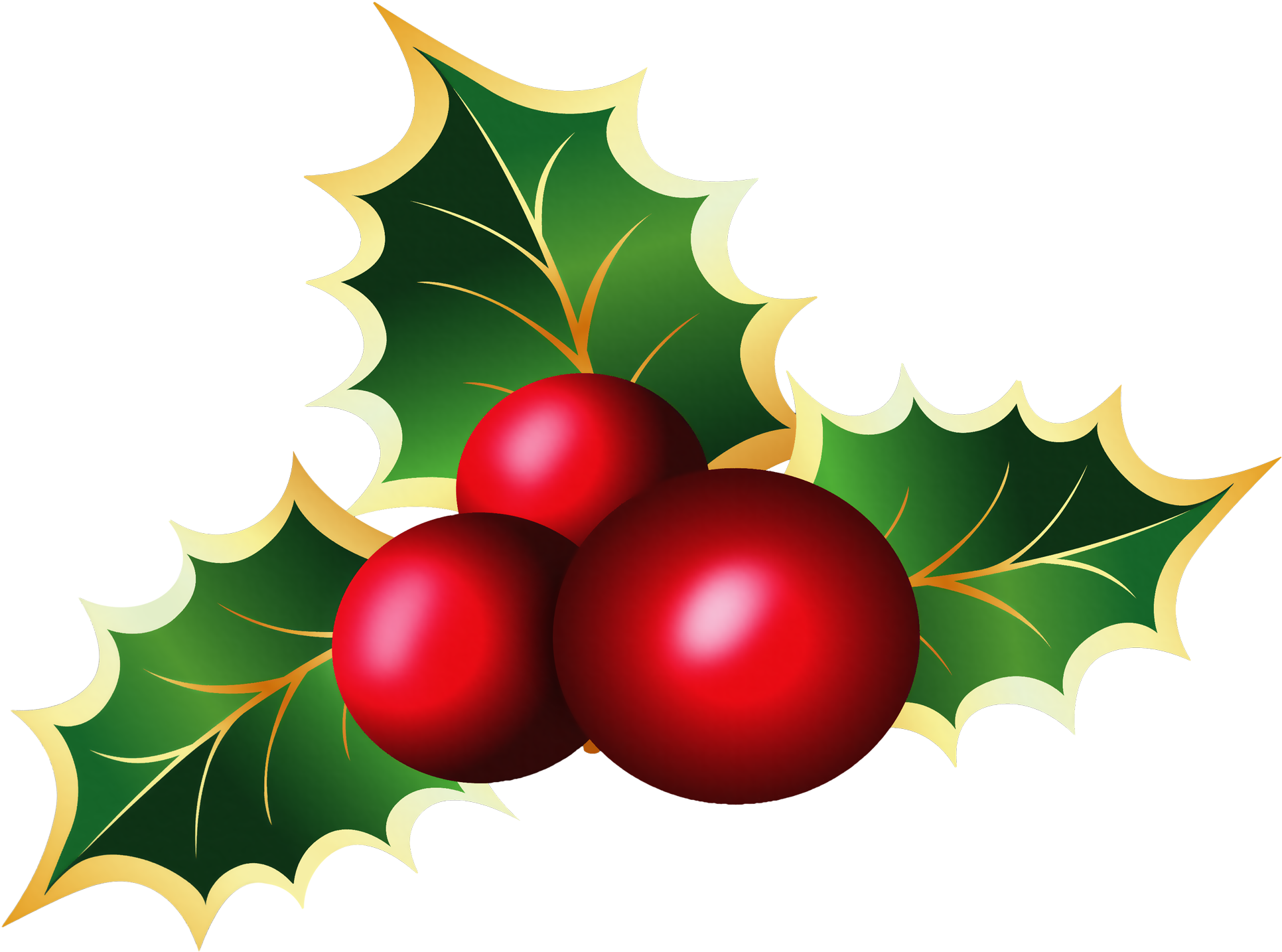 Holly Berries Illustration