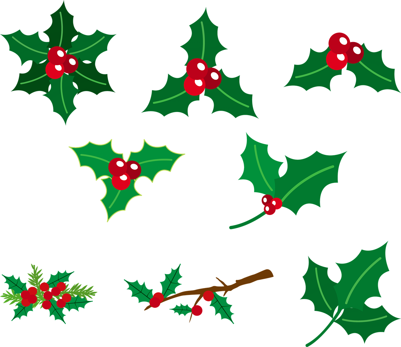 Holly Berry Pattern Graphic