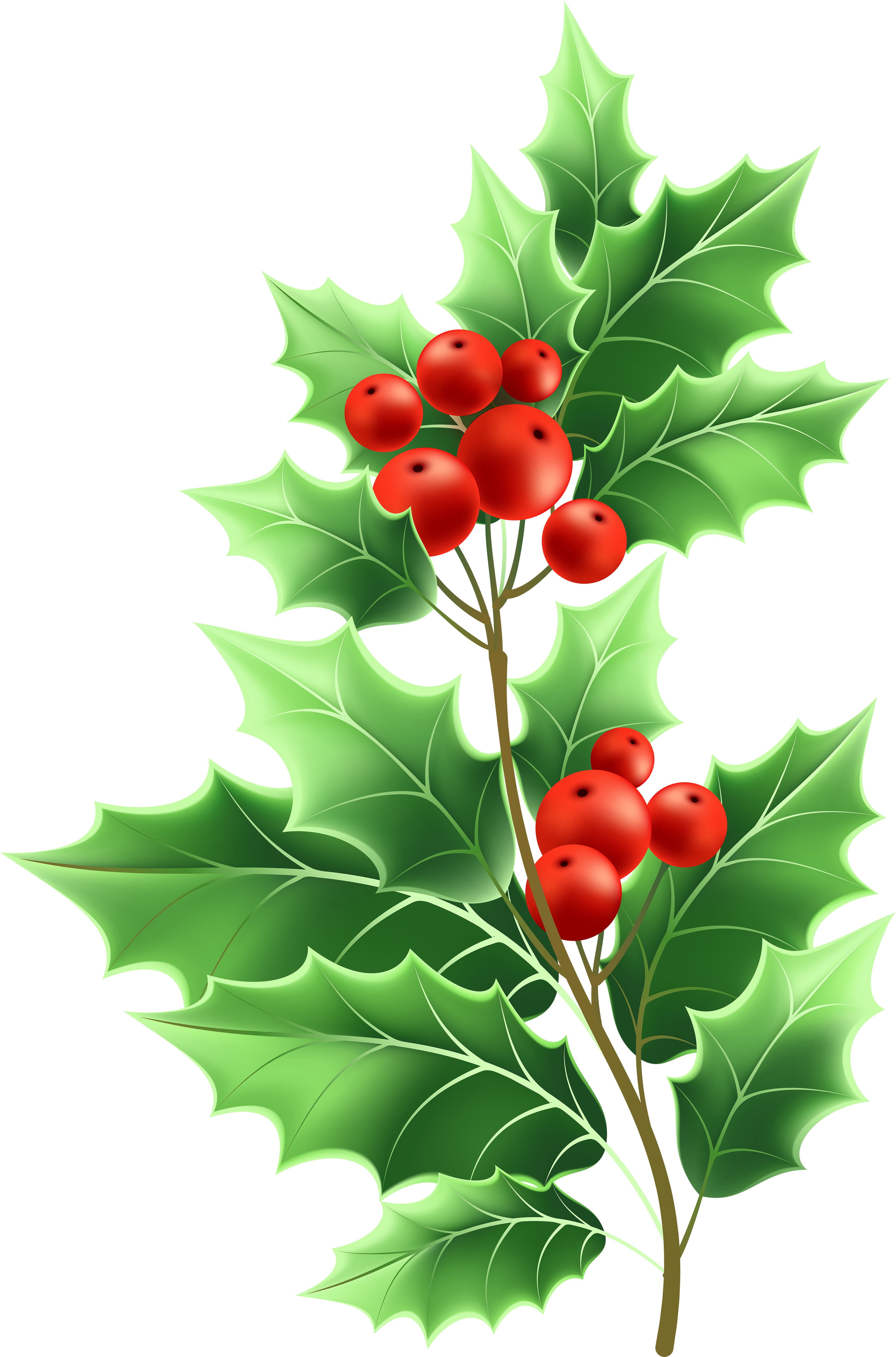 Holly Branch Christmas Decoration