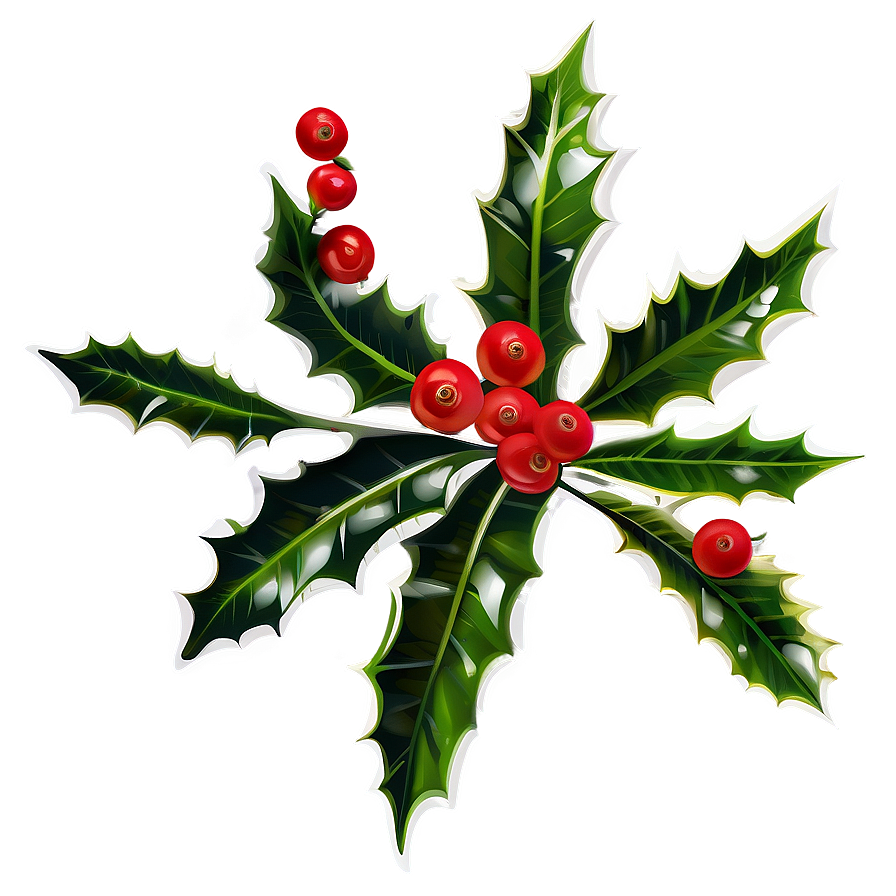 Holly Branch Png 05252024