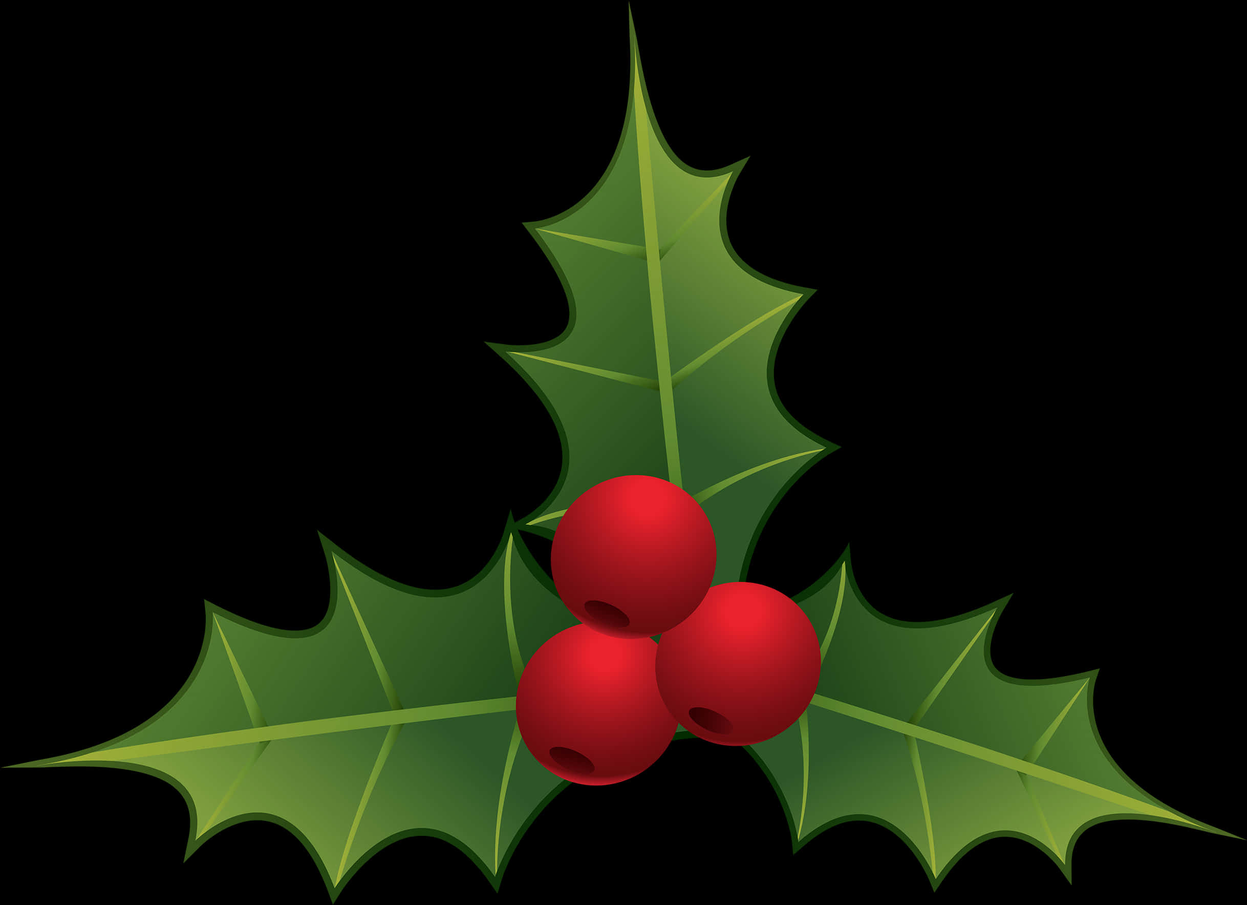 Holly Leaves Berries Clipart