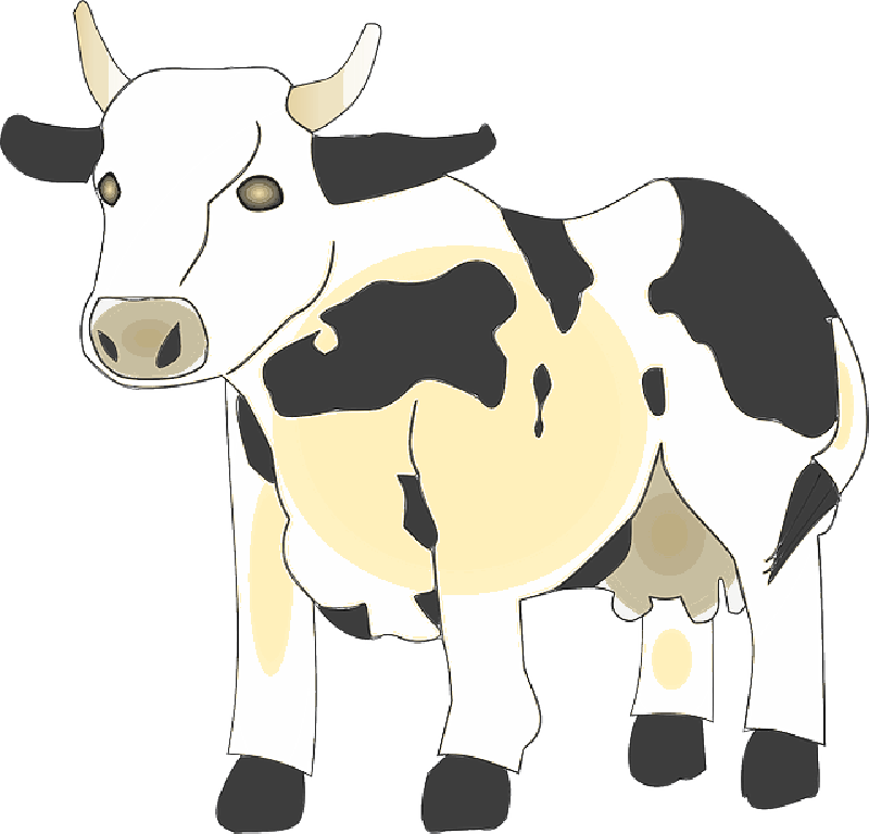 Holstein Friesian Dairy Cow Illustration