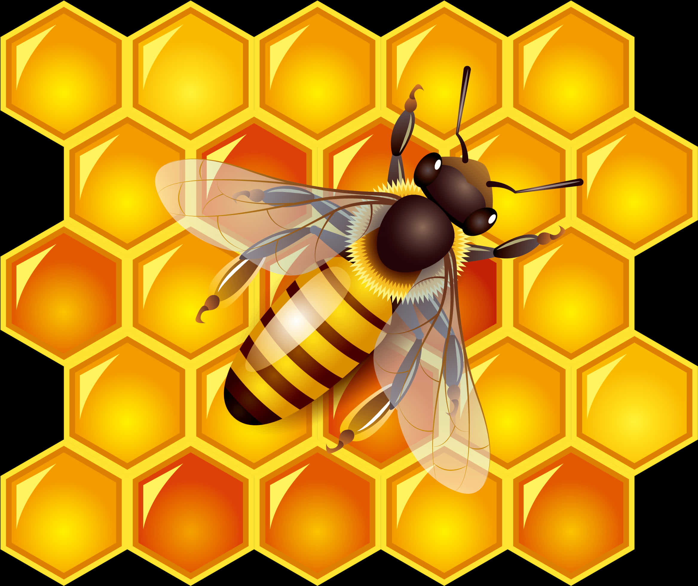 Honeybeeon Hexagon Pattern