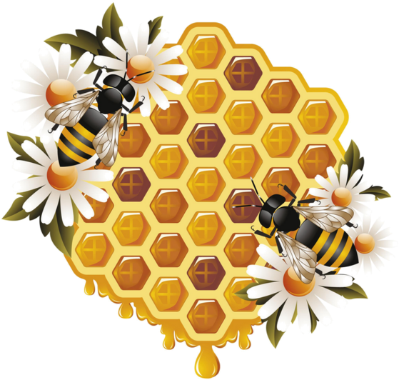 Honeycomband Bees Clipart