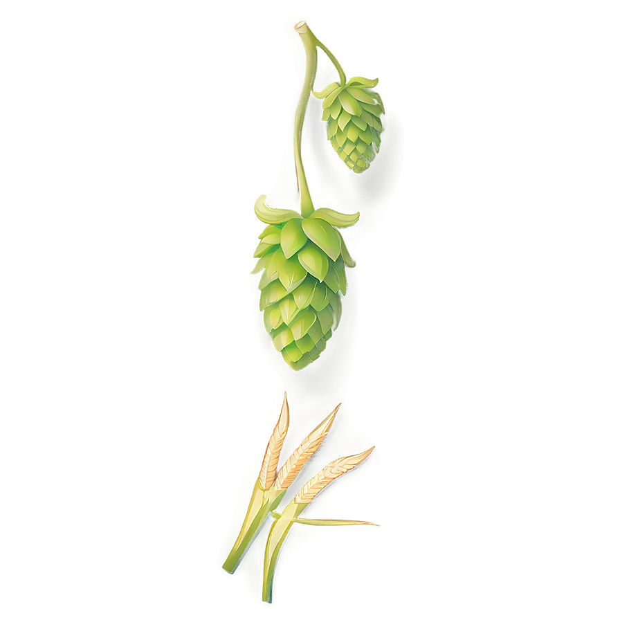 Hops And Barley Png 16