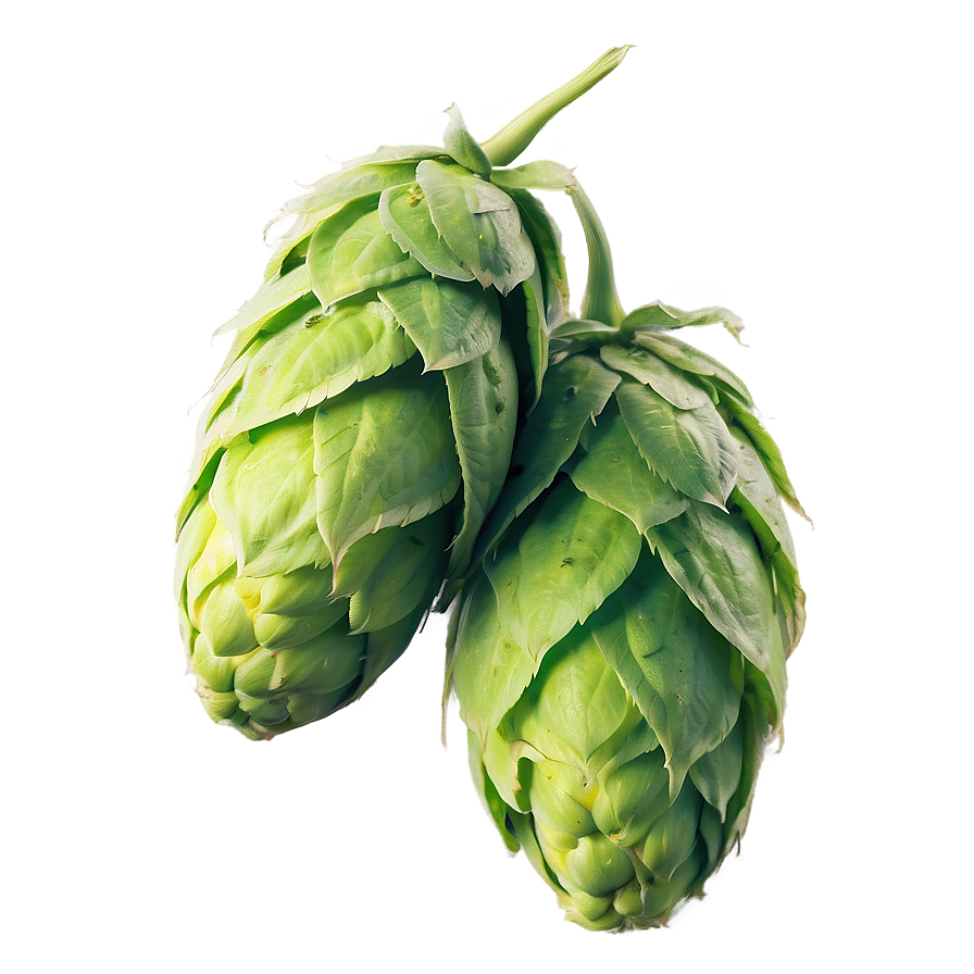 Hops Beer Ingredient Png Cei19