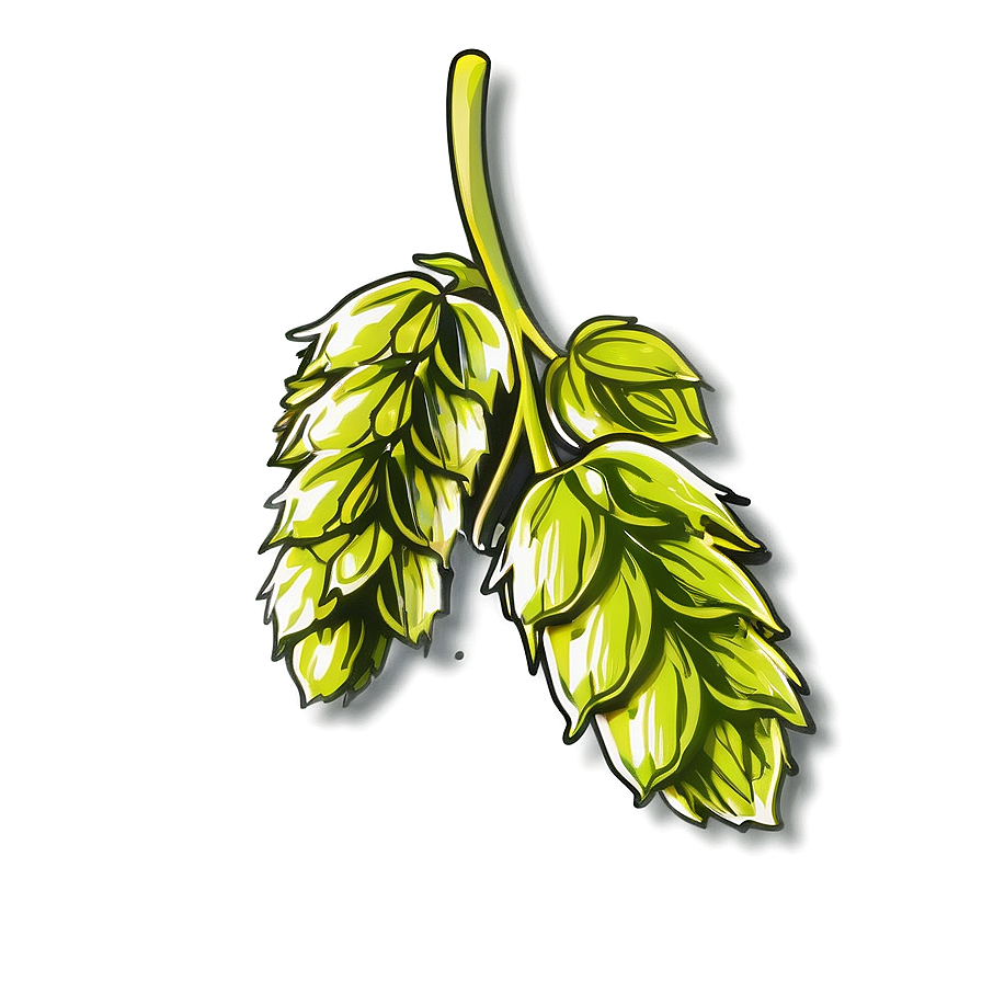 Hops Branch Sketch Png 86