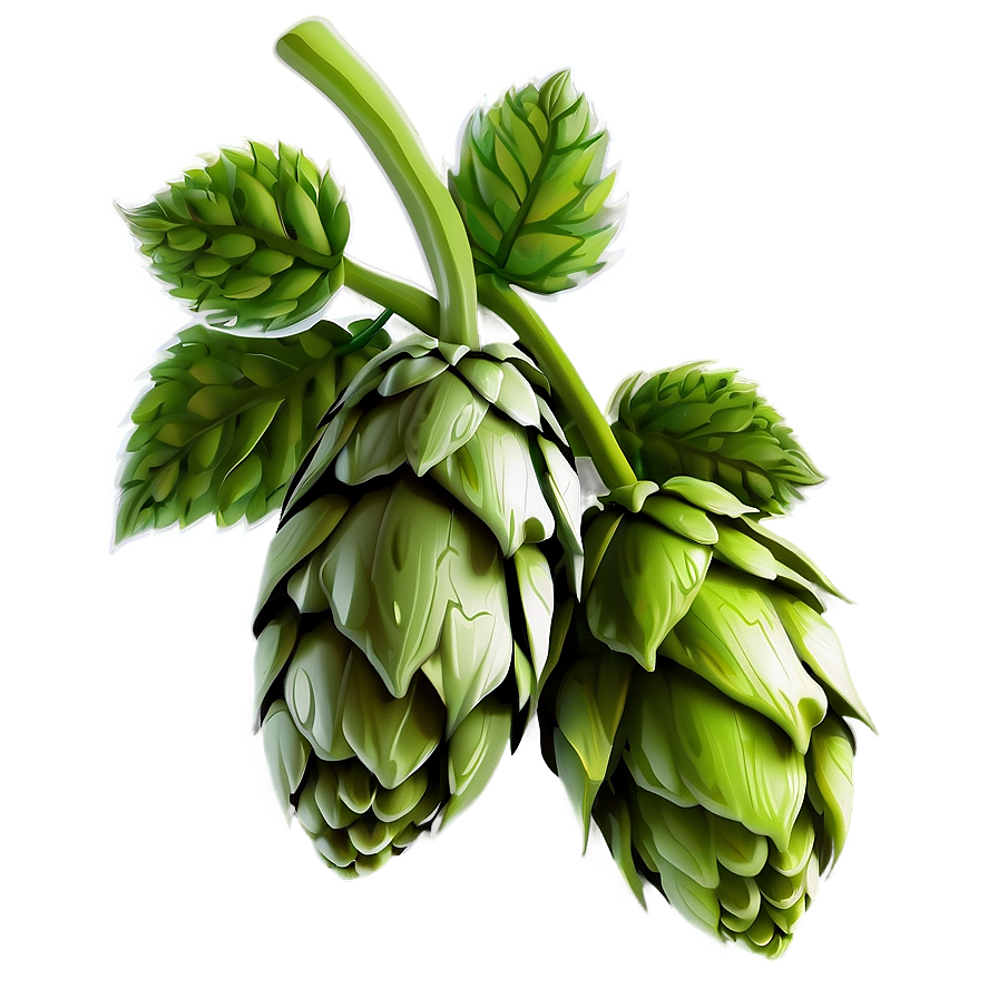 Hops Bundle Clipart Png Ois