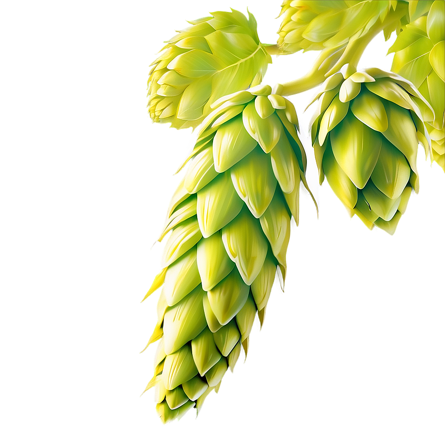 Hops Cone Silhouette Png Ixn