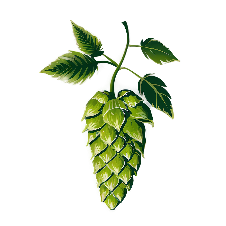 Hops Cone Silhouette Png Klg12