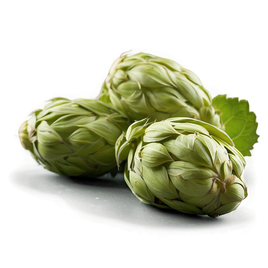 Hops Ingredient Source Png Eaa5